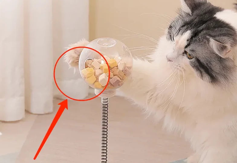 Interactieve Katten Voederspeeltje