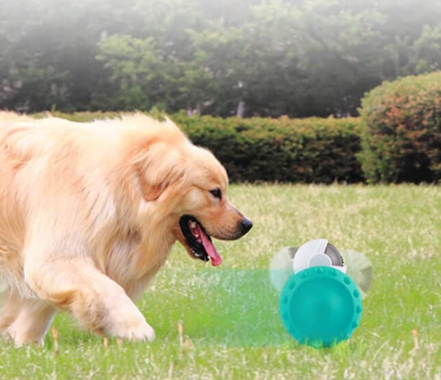 Robot Huisdierensnack Dispenser