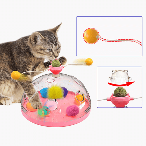 Cat's Interactieve Windmolen Speelgoed