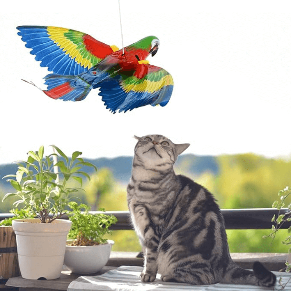 Interactieve vliegende vogel kattenspeeltje