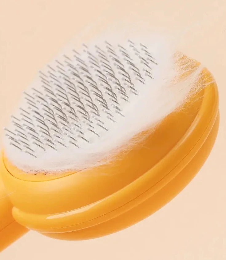 Cat's Fur Burger Borstel