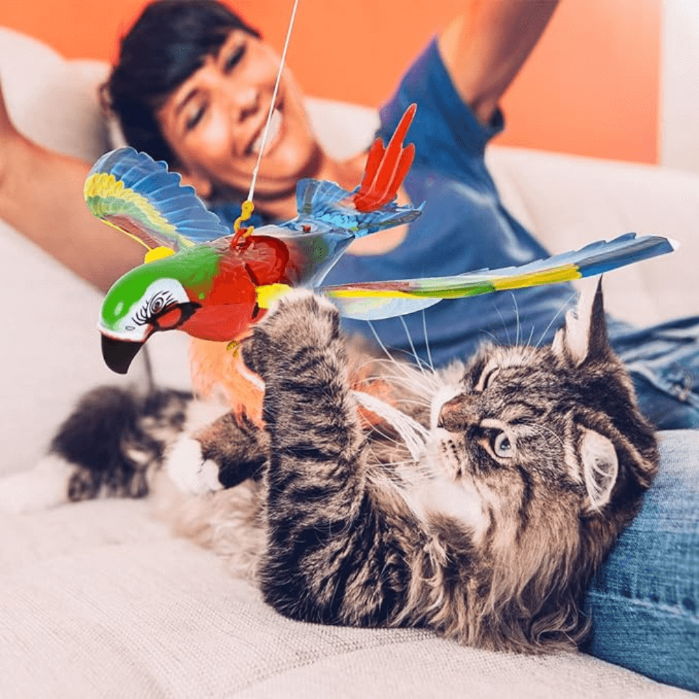 Interactieve vliegende vogel kattenspeeltje
