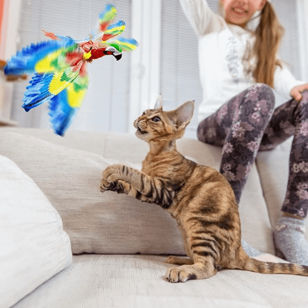 Interactieve vliegende vogel kattenspeeltje