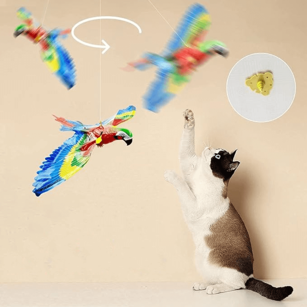 Interactieve vliegende vogel kattenspeeltje