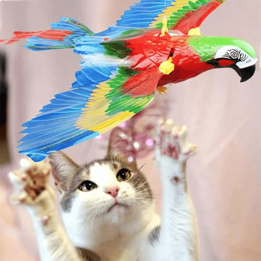 Interactieve vliegende vogel kattenspeeltje