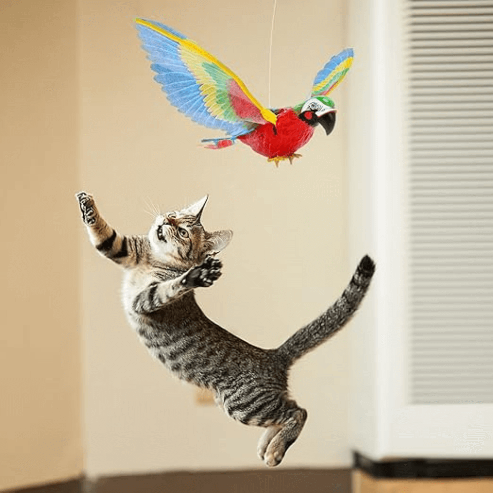 Interactieve vliegende vogel kattenspeeltje
