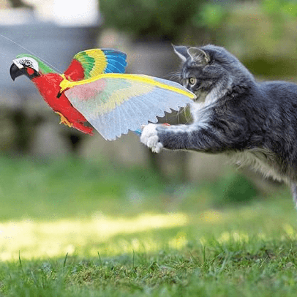 Interactieve vliegende vogel kattenspeeltje