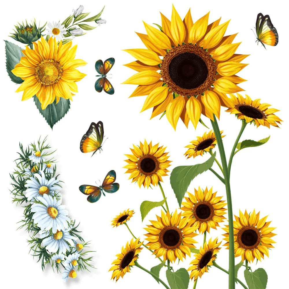 Zonnebloemen Muurstickers