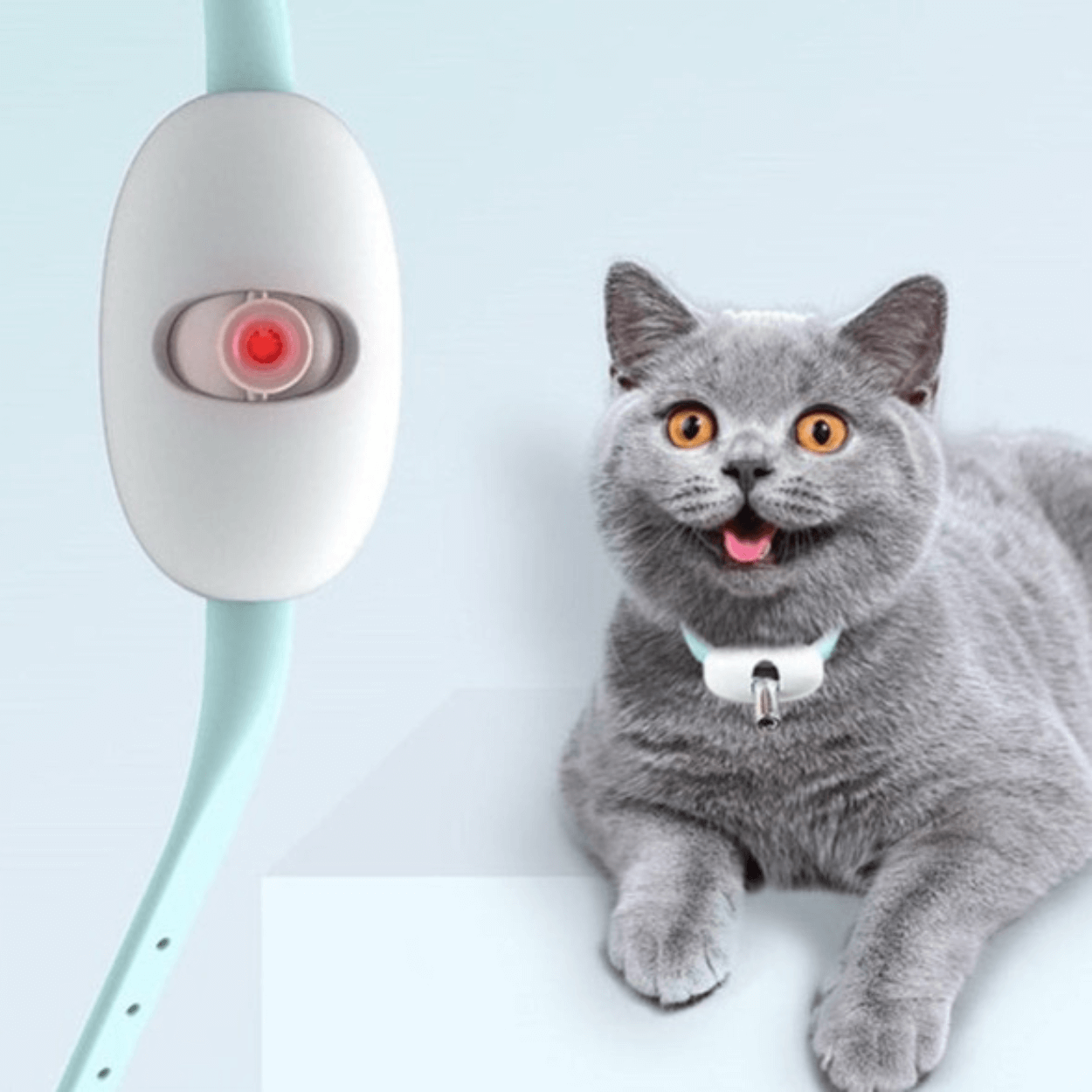Verstelbare Katten Laserlokker