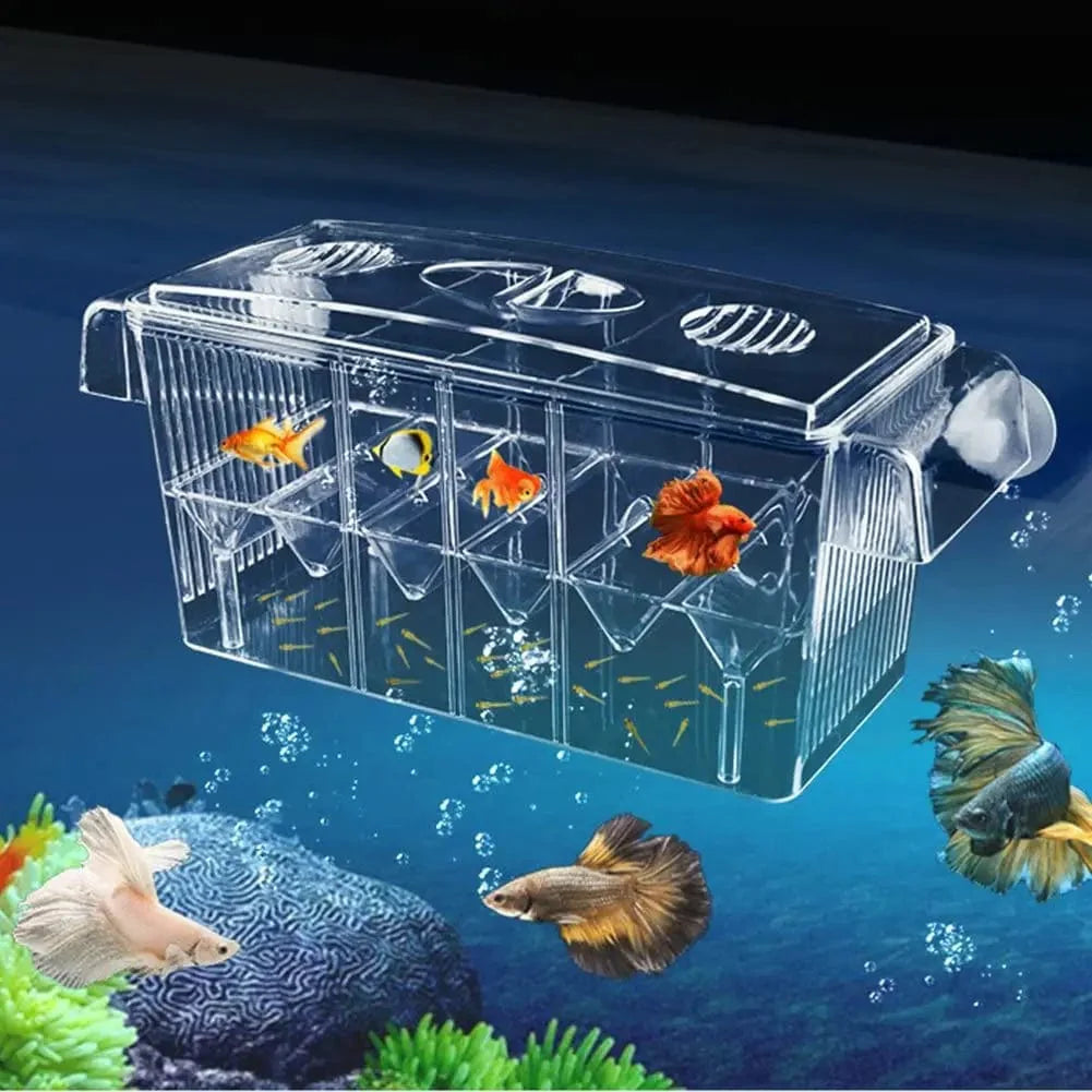 Aquarium Broederij Box Dubbellaags Met 4 Compartimenten Transparant 0