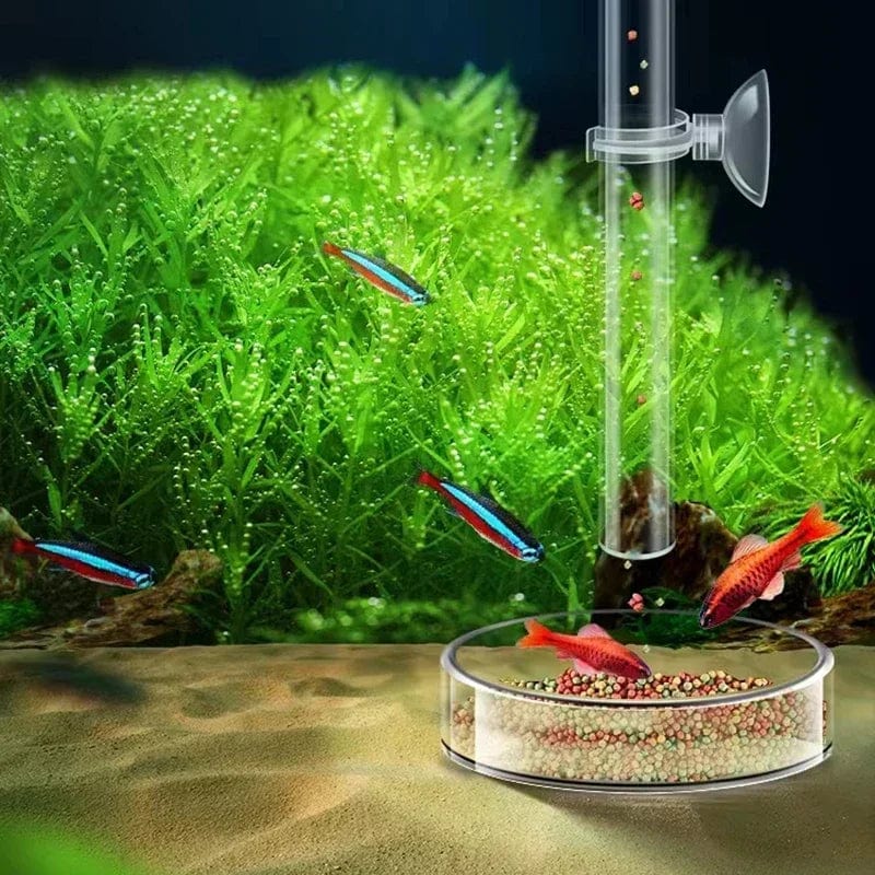 Aquarium Voeder Buis voor Garnalen en Kleine Vissen 5
