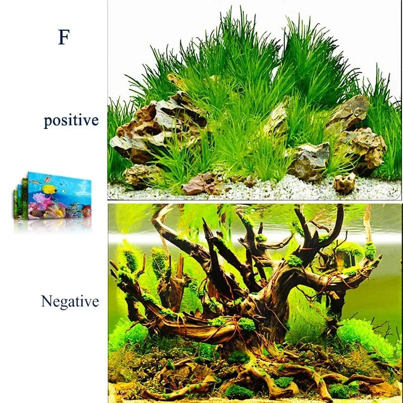 Aquariumdecoratie 3D Achtergrond Voor Realistische Ervaring 0