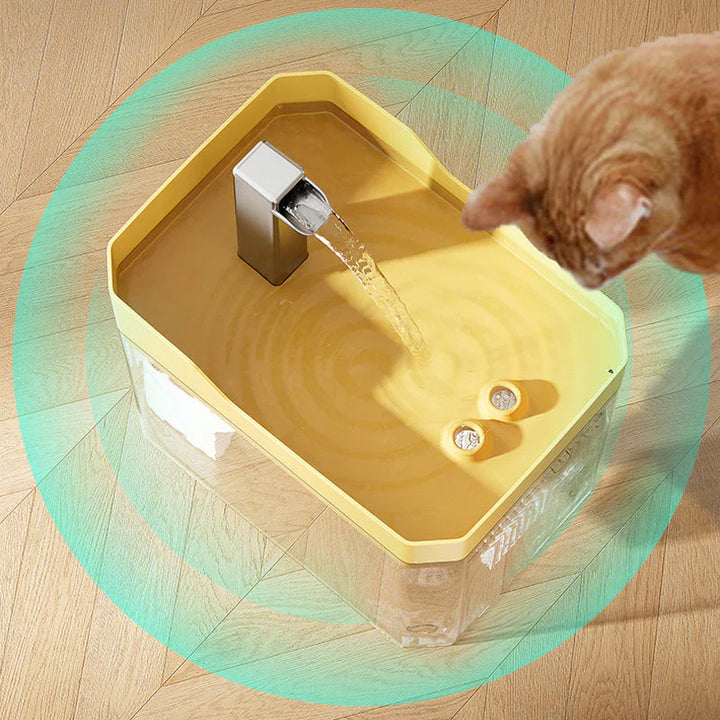 Automatische Waterdispenser voor Huisdieren 3