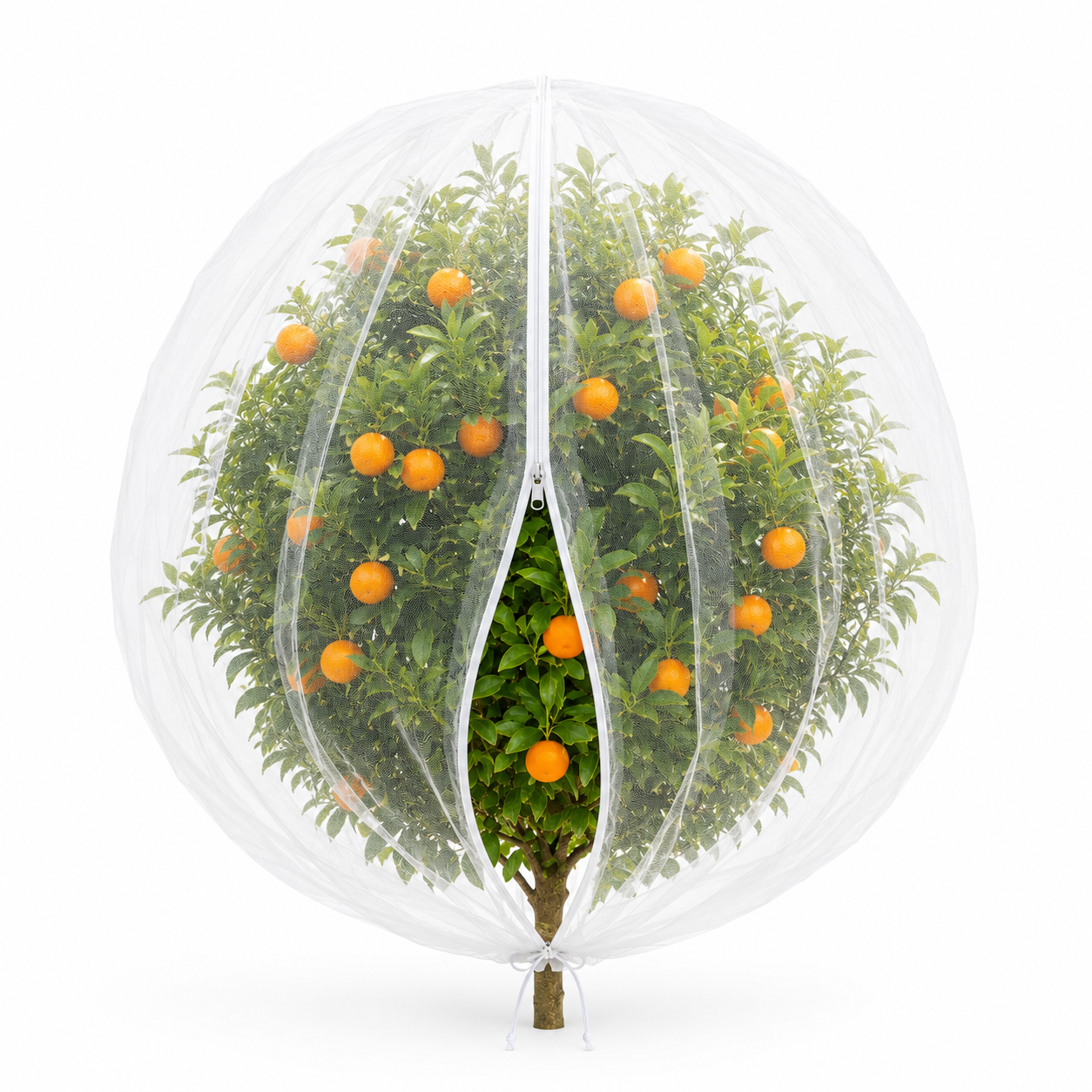 Beschermhoes voor Fruitbomen met Trekkoord 5