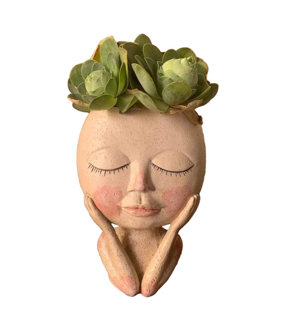 Charmante Bloempot Voor Creatieve Planten Binnen En Buiten 0