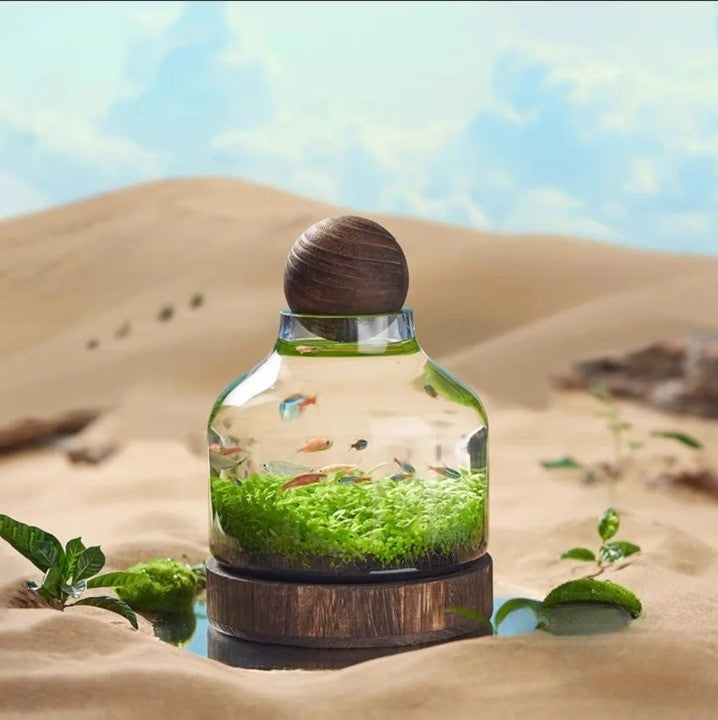 Compact Glazen Aquarium Minimalistisch voor Kleine Ruimtes 0