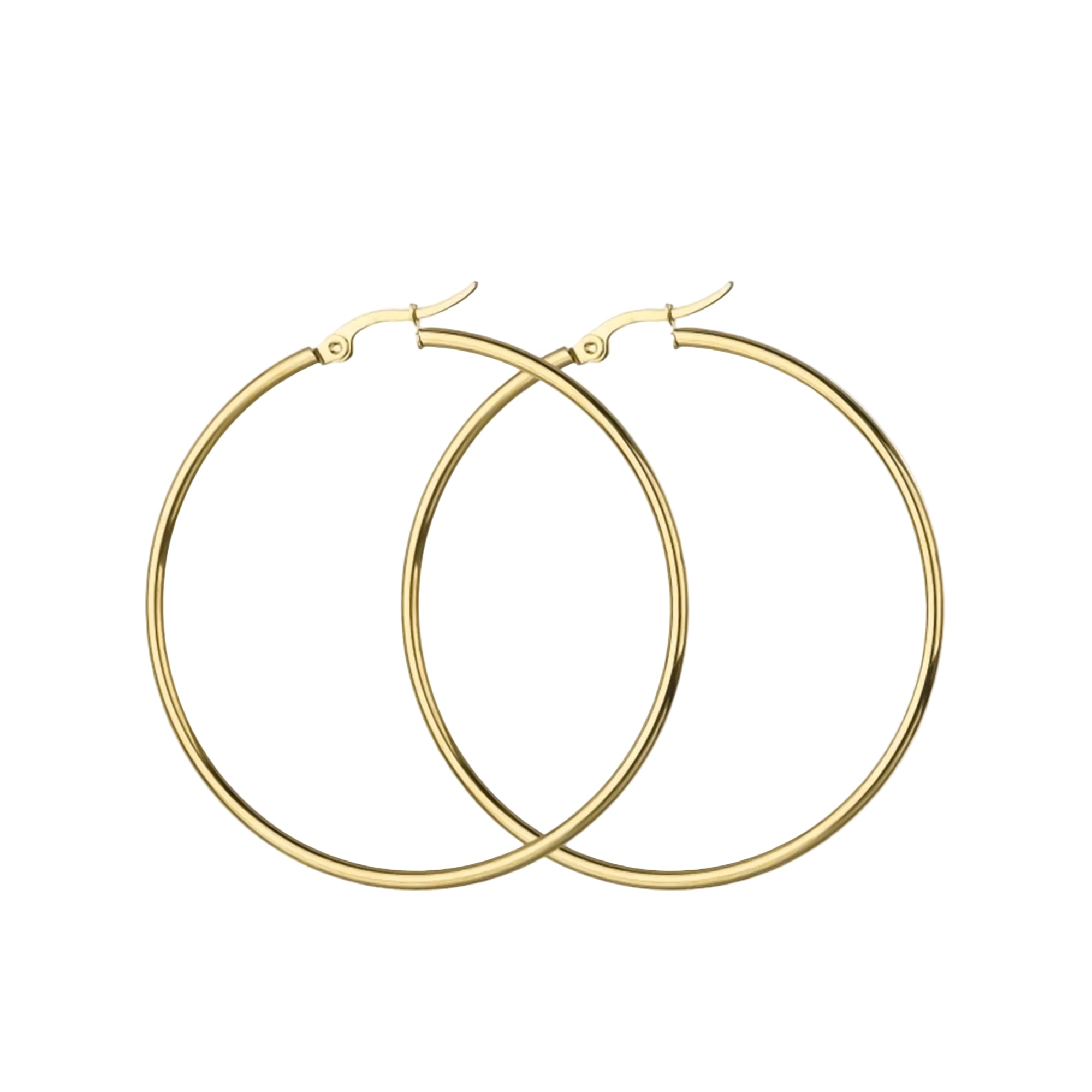 Dames Oorbellen Minimalistisch Design Tijdloos Stijlvol 3