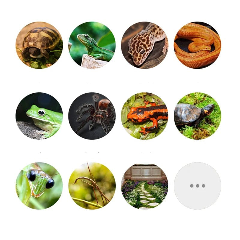 Decoratief Mos Tapijt voor Dierenverblijven Natuurlijke Uitstraling 5