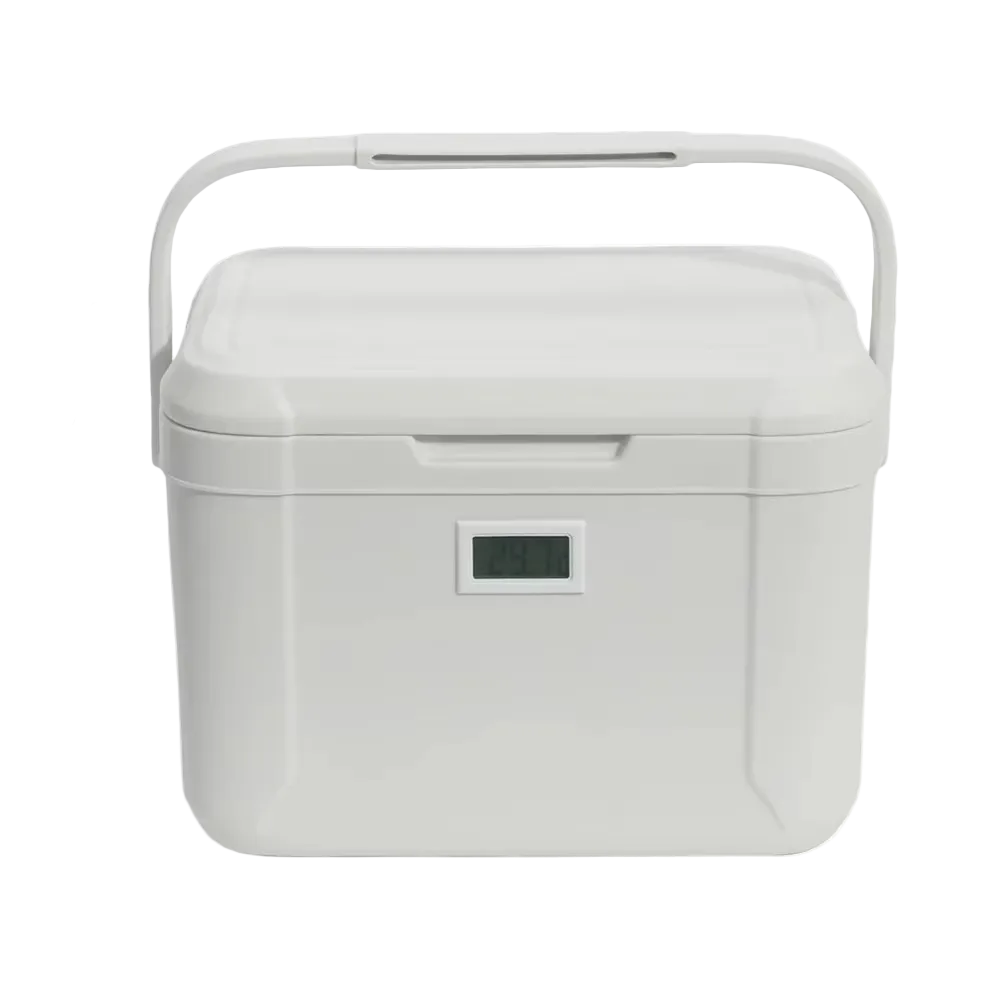 Draagbare Mini Vriezer 5L voor Auto en Kamperen 0