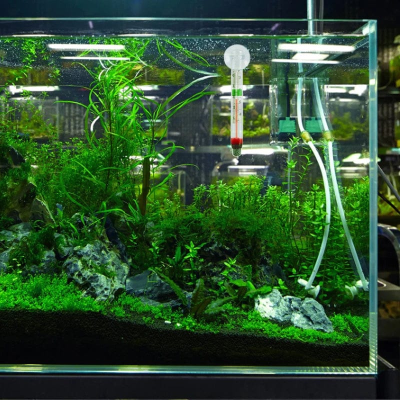 Drijvende Aquariumthermometer met Zuignap voor Tropische Vissen 1