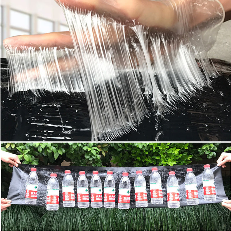 Grote Lijmval voor Ongedierte Vangen 2