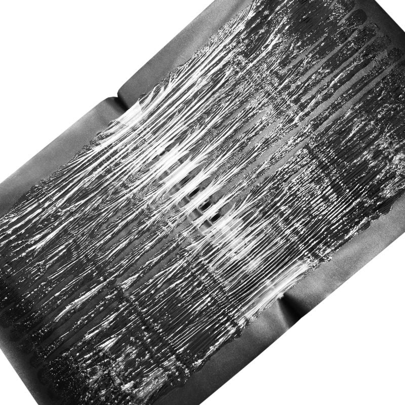 Grote Lijmval voor Ongedierte Vangen 4