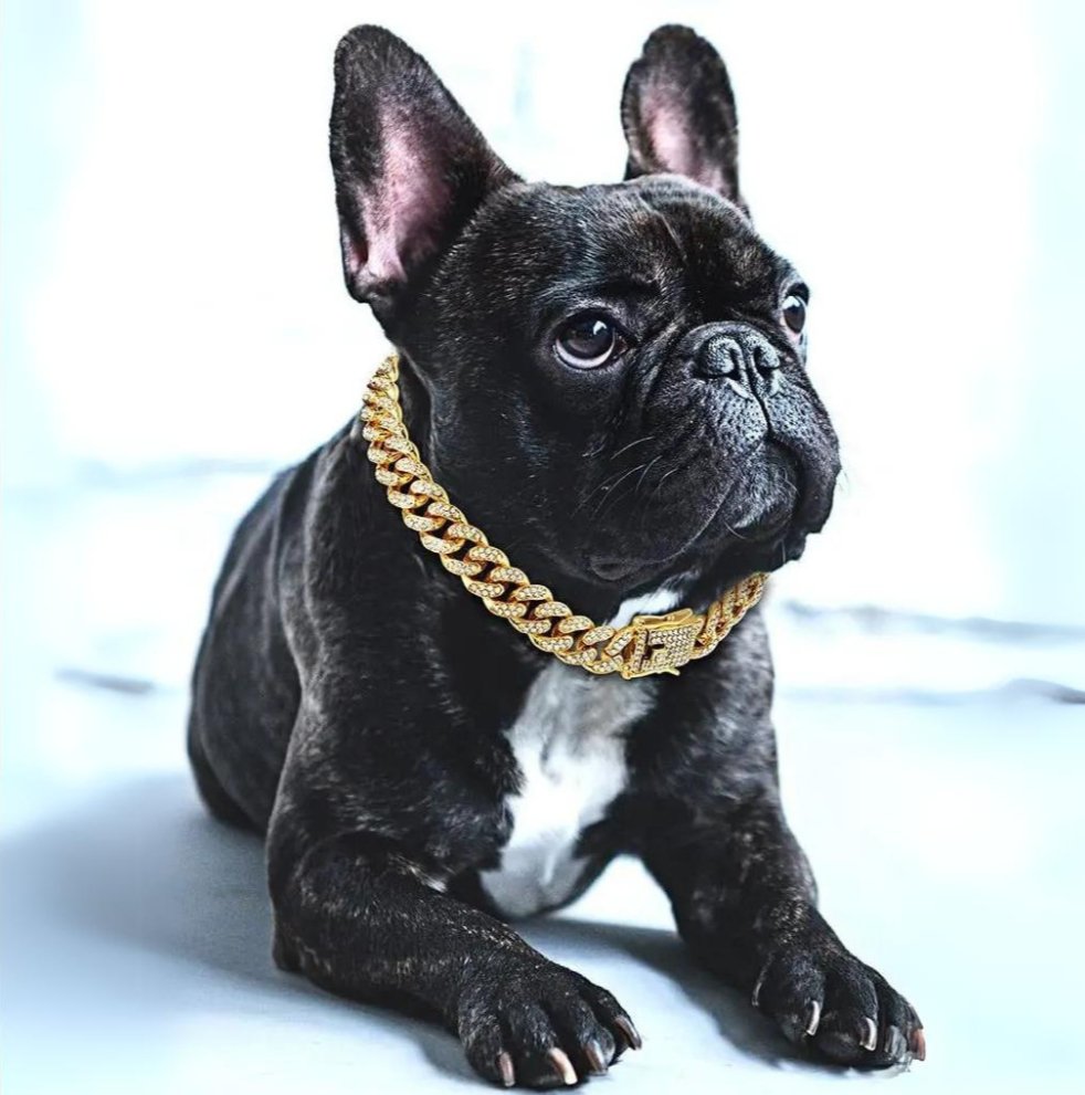 Halsband Hond Luxe met Gouden Ketting en Zirkonia Diamanten voor Honden 0