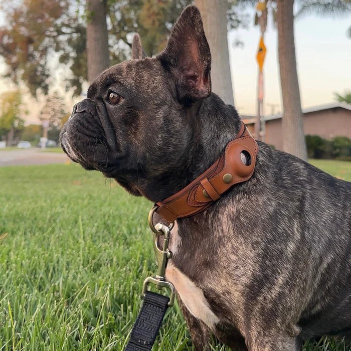 Halsband Hond met AirTag Bevestiging Waterdicht en Duurzaam voor Alle Weerseisen 2