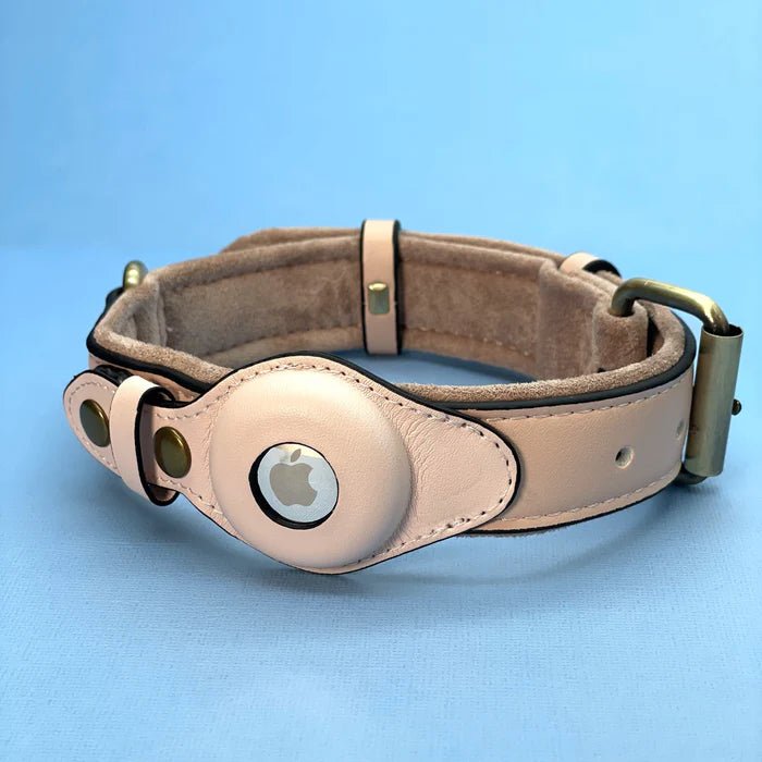 Halsband Hond met AirTag Bevestiging Waterdicht en Duurzaam voor Alle Weerseisen 4