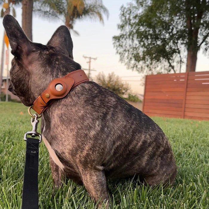 Halsband Hond met AirTag Bevestiging Waterdicht en Duurzaam voor Alle Weerseisen 8