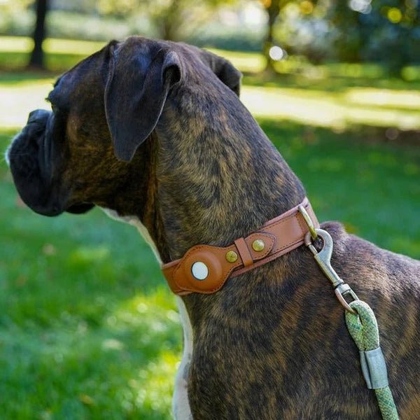 Halsband Hond met AirTag Bevestiging Waterdicht en Duurzaam voor Alle Weerseisen 9