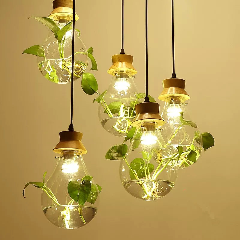 Hanglamp voor Planten met Glazen Bol - Moderne Woonkamer Lamp voor Slaapkamer en Interieurdecoratie 0