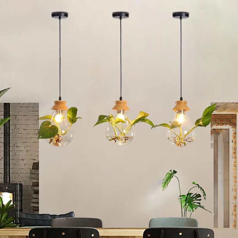 Hanglamp voor Planten met Glazen Bol - Moderne Woonkamer Lamp voor Slaapkamer en Interieurdecoratie 2