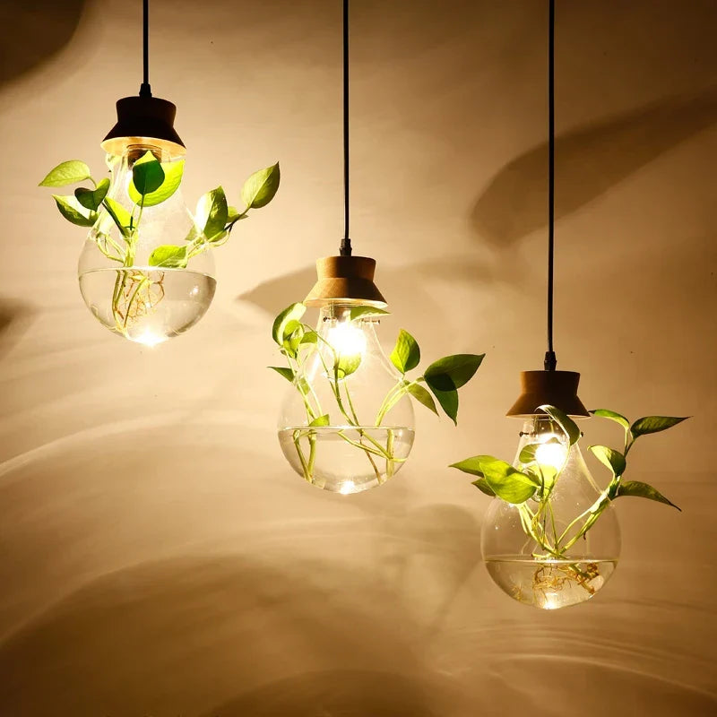 Hanglamp voor Planten met Glazen Bol - Moderne Woonkamer Lamp voor Slaapkamer en Interieurdecoratie 3