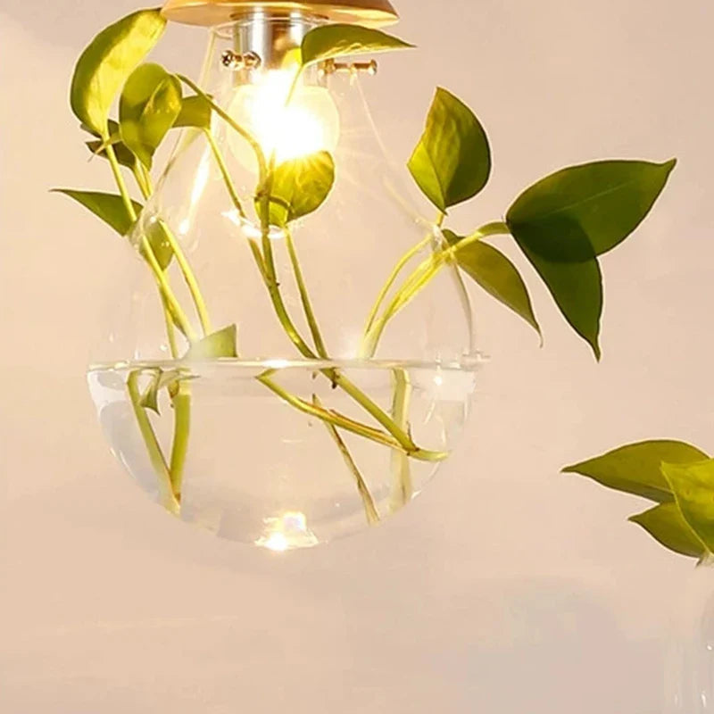 Hanglamp voor Planten met Glazen Bol - Moderne Woonkamer Lamp voor Slaapkamer en Interieurdecoratie 5