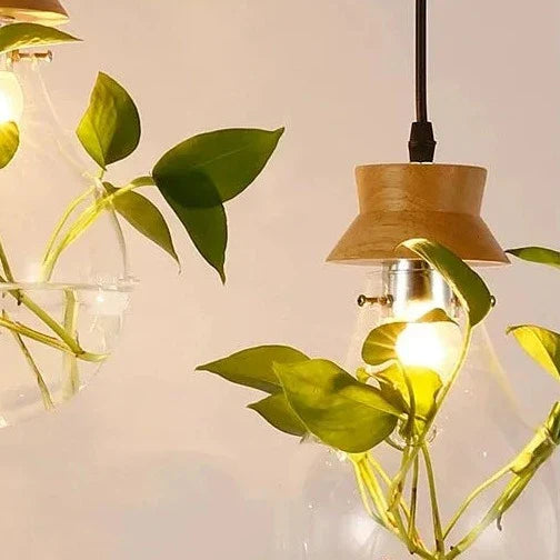 Hanglamp voor Planten met Glazen Bol - Moderne Woonkamer Lamp voor Slaapkamer en Interieurdecoratie 6
