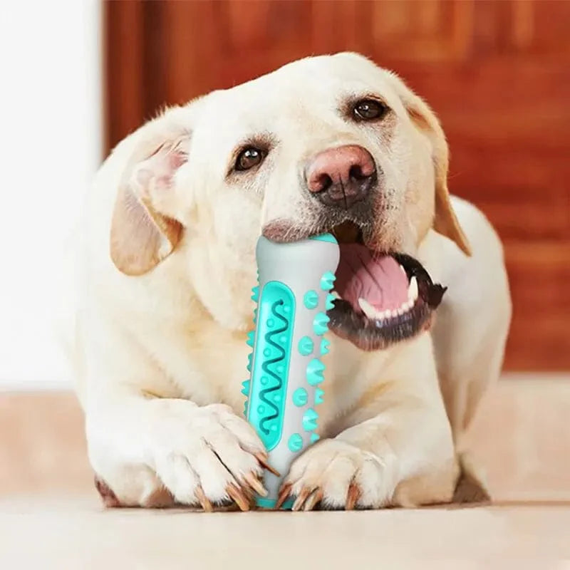 Honden Kauwspeeltje Tandverzorging 360 Graden Tandenreiniger 1
