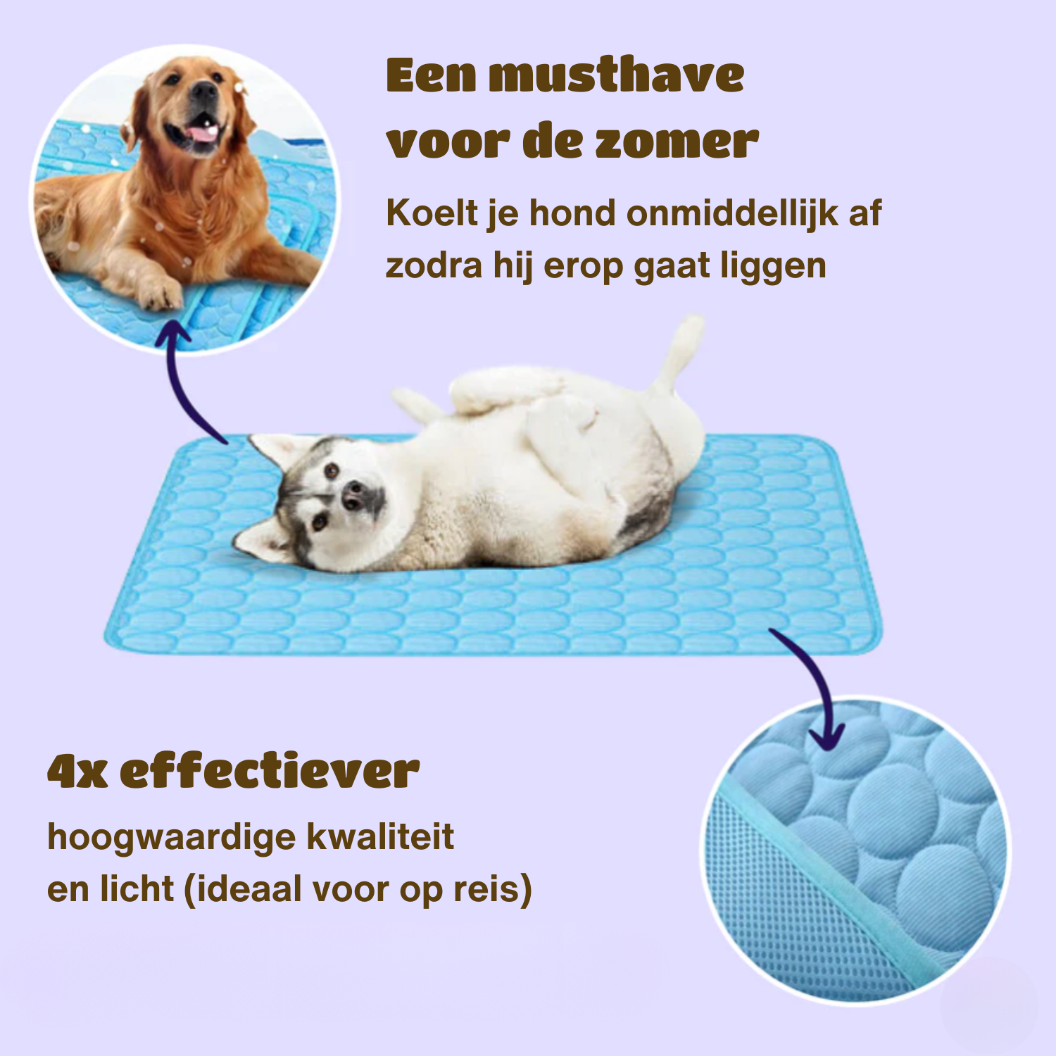 Honden Koelmat Innovatief Ontwerp voor Optimale Koeling en Comfort 9