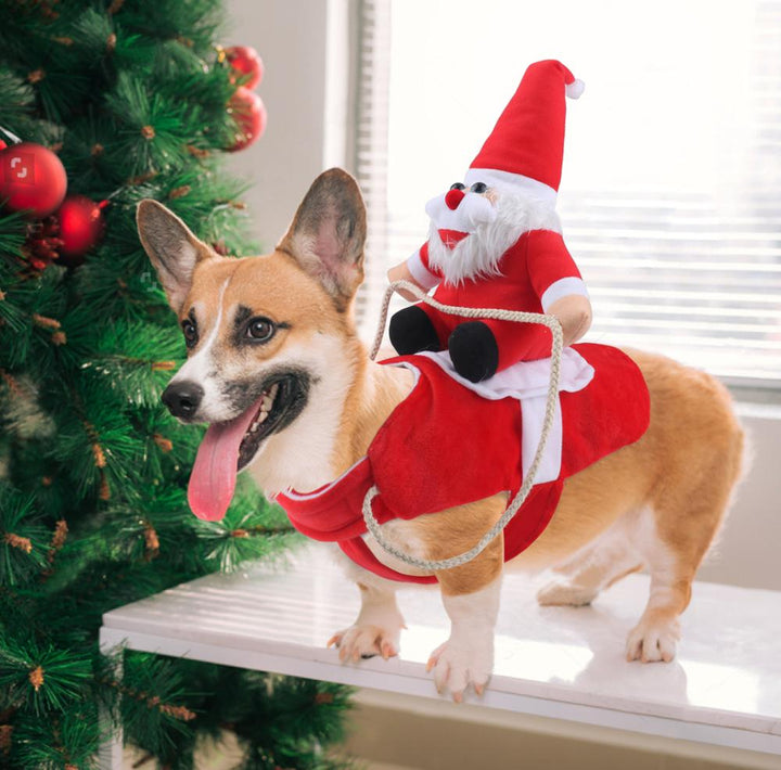 Honden Kostuum voor Kerstman Feestelijk 0