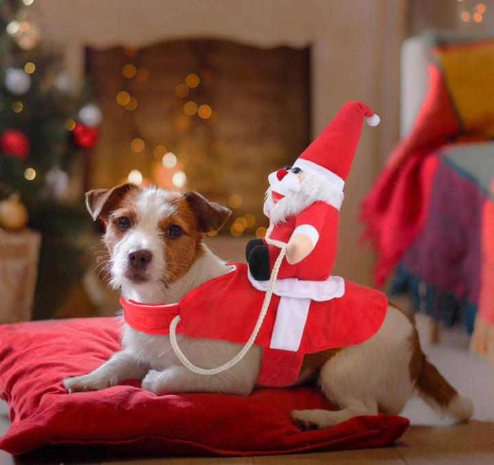 Honden Kostuum voor Kerstman Feestelijk 3