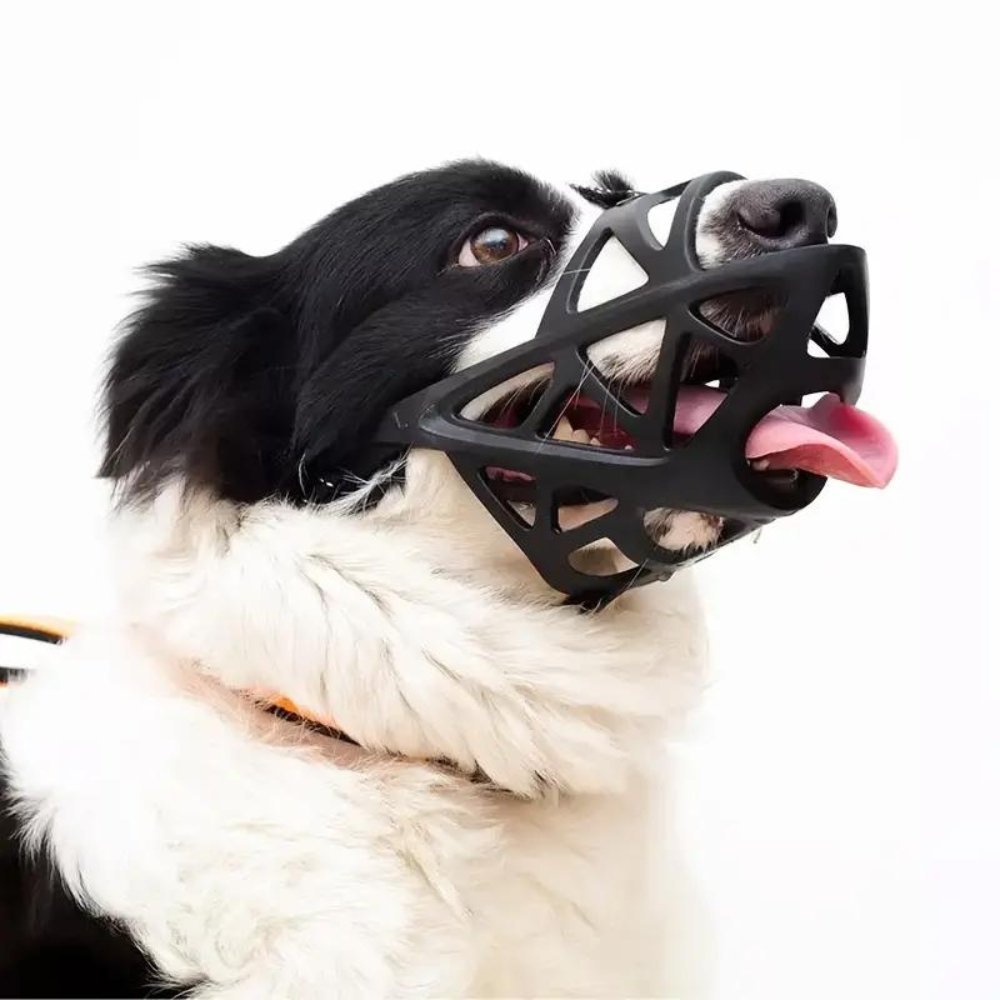 Honden Muilkorf Ademend Voor Dagelijks Gebruik 3