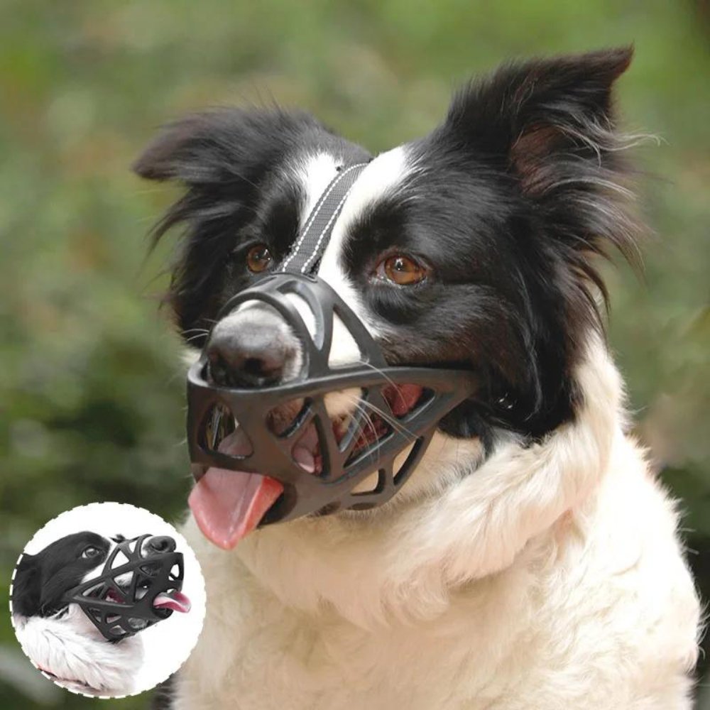 Honden Muilkorf Ademend Voor Dagelijks Gebruik 4