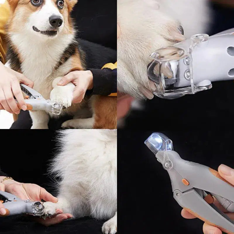 Honden Nagelknipper met Snelheidssensoren 4