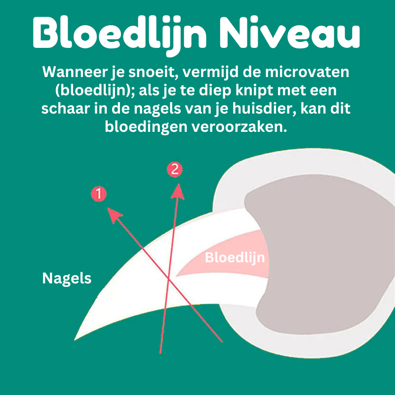 Honden Nagelknipper met Snelheidssensoren 8
