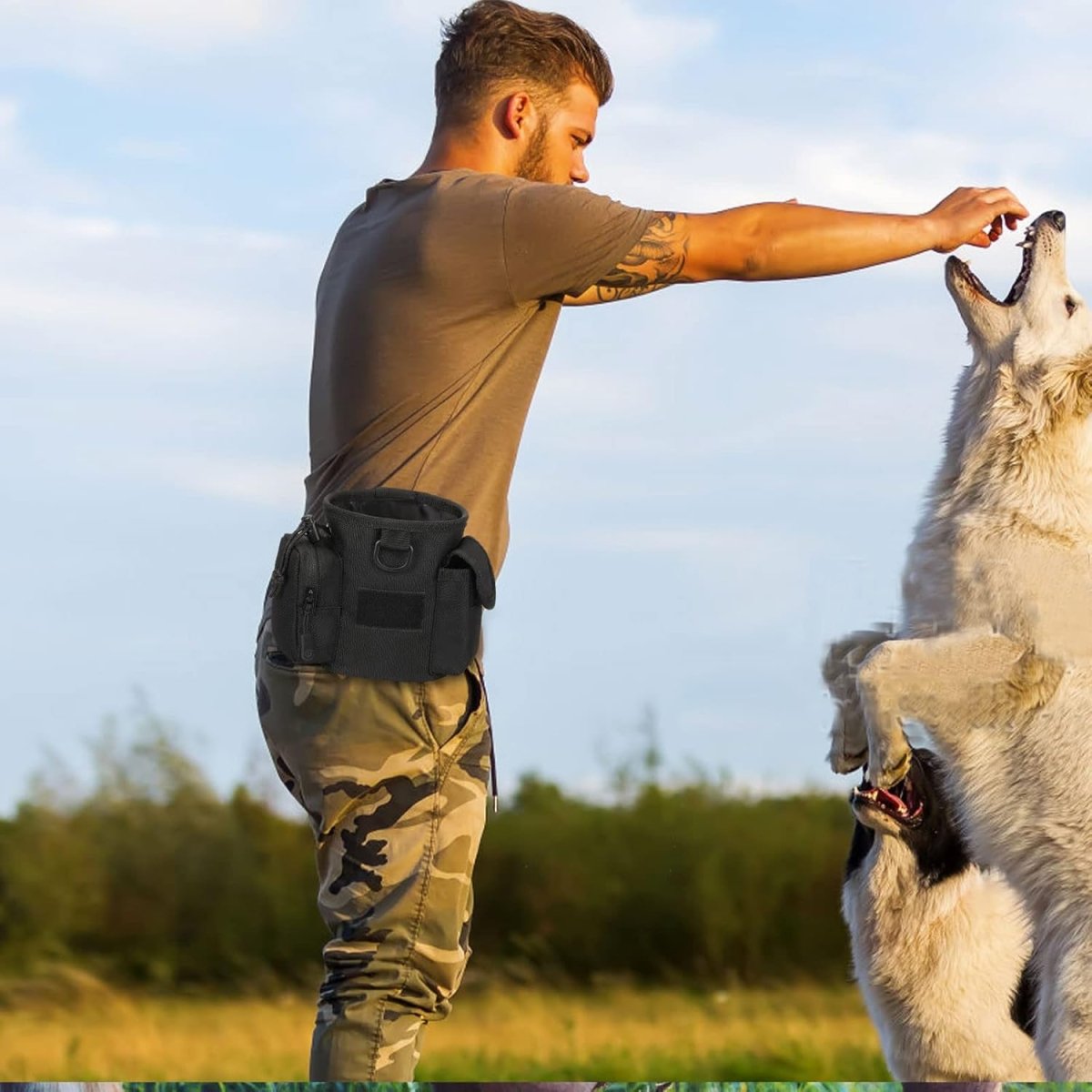 Honden Snackzakje Met Snelle Toegang 2