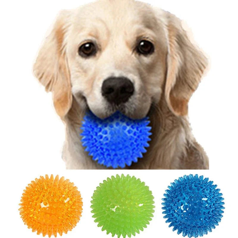 Honden Speelgoed Bal voor Training en Tandenreiniging 1