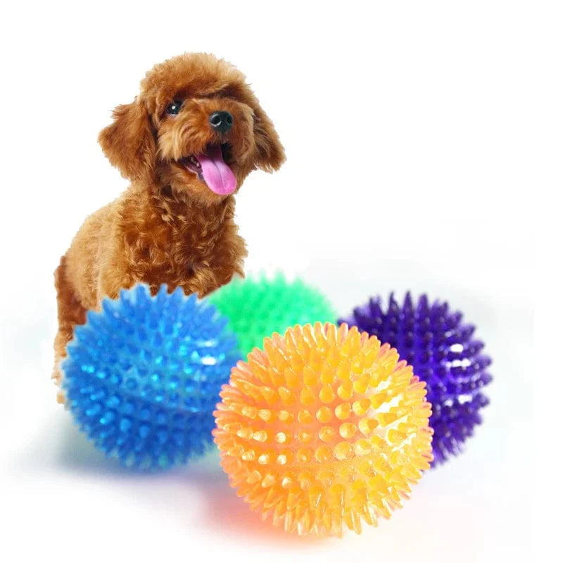 Honden Speelgoed Bal voor Training en Tandenreiniging 2