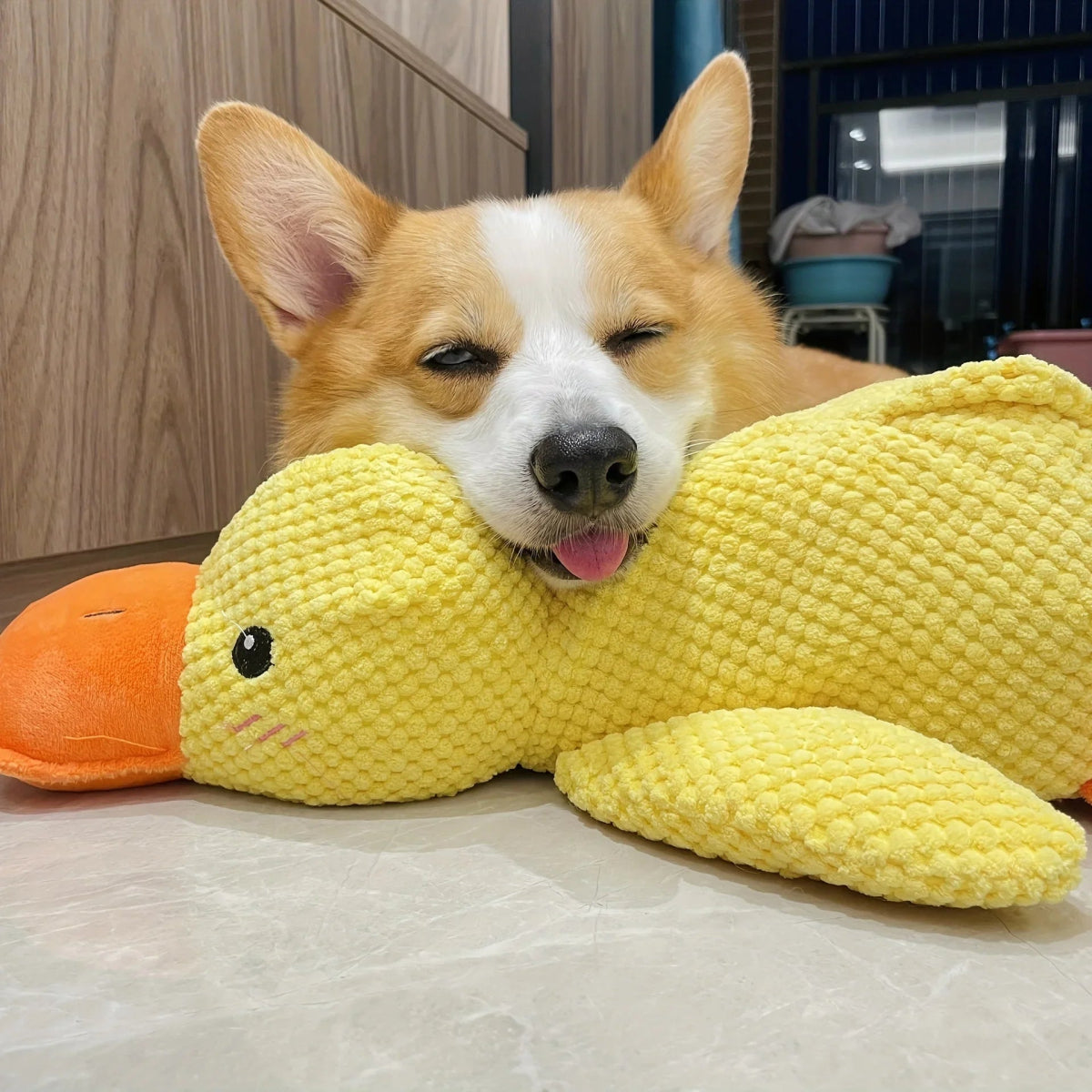 Honden Speelgoed Eend met Kwakgeluid 1
