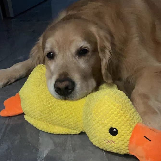 Honden Speelgoed Eend met Kwakgeluid 7