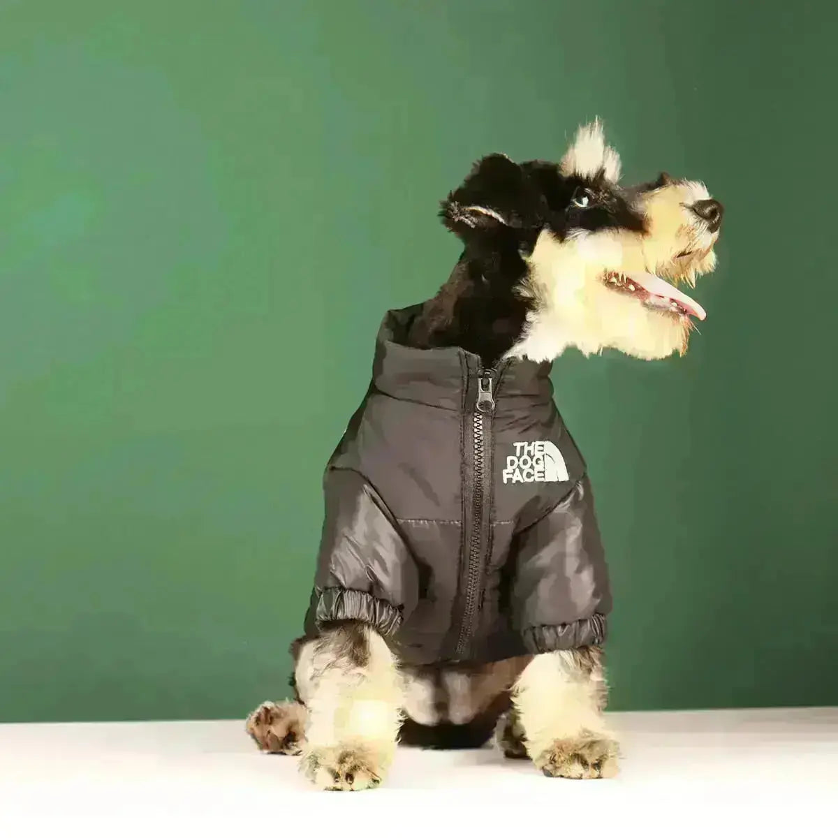 Honden Winterjas Pufferstijl Met Verstelbaar Trekkoord 1